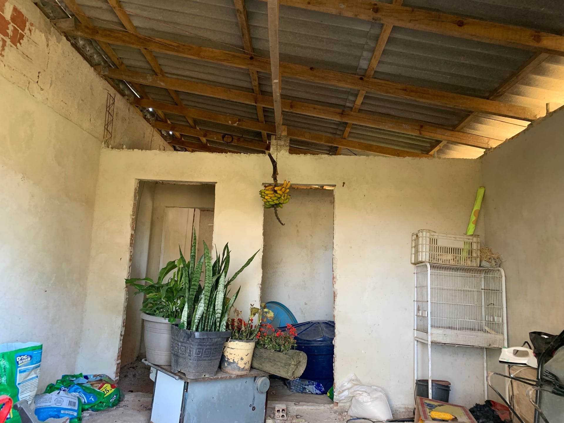 Chácara à venda com 3 quartos, 3000m² - Foto 21