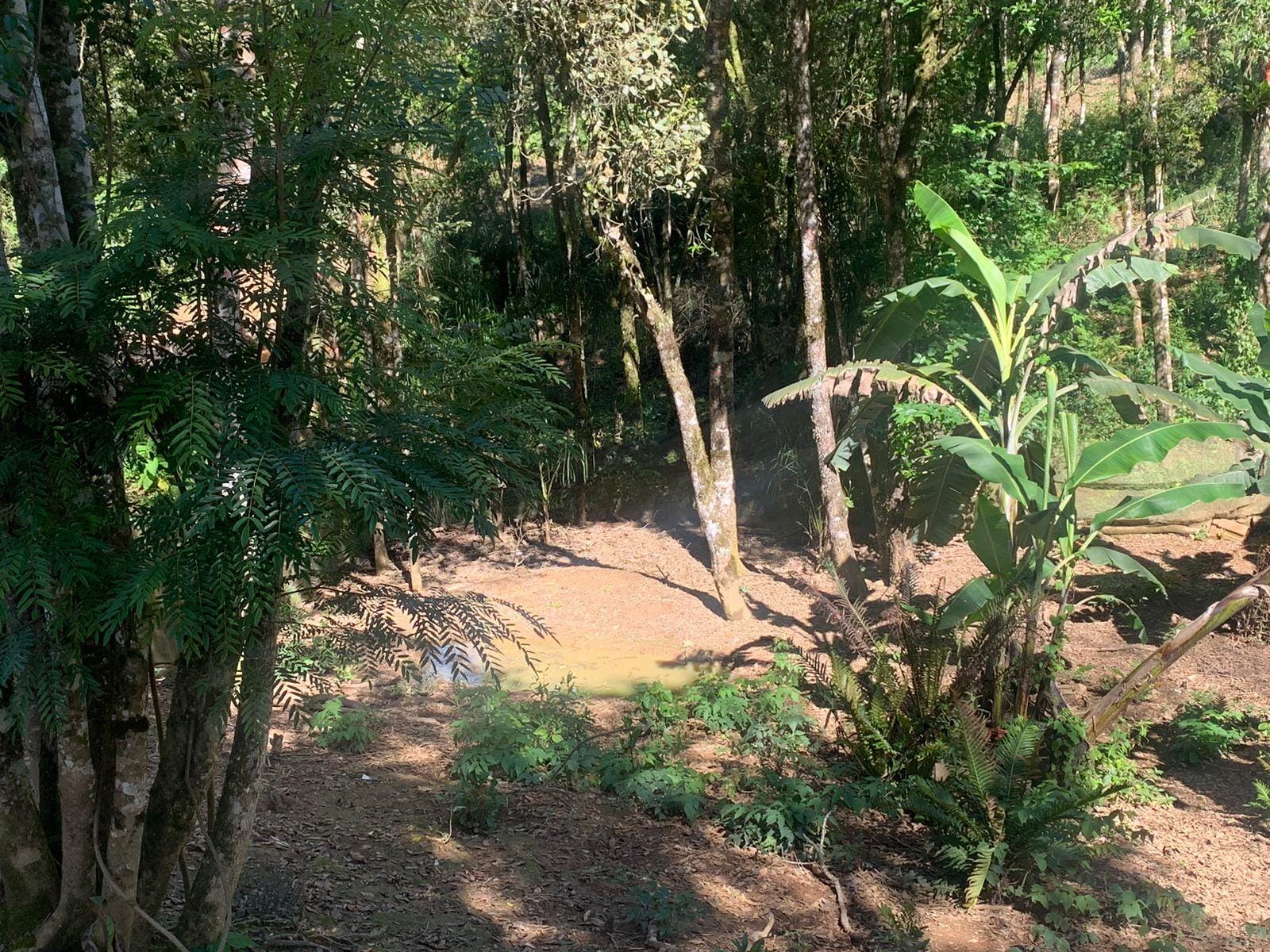 Chácara à venda com 3 quartos, 3000m² - Foto 25