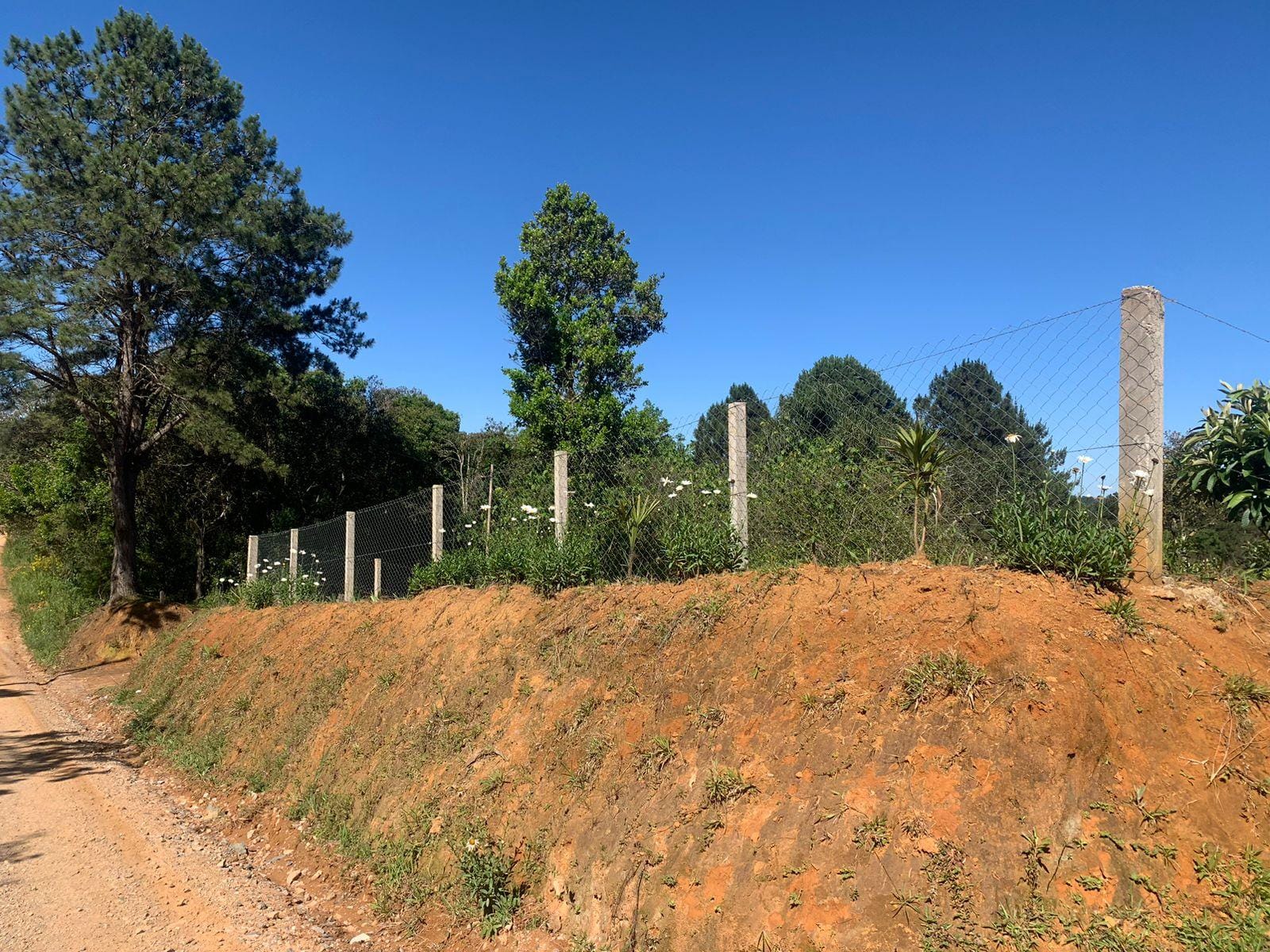 Chácara à venda com 3 quartos, 3000m² - Foto 31