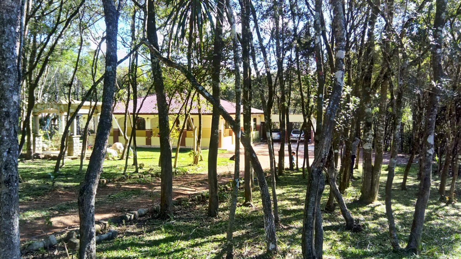 Chácara à venda com 3 quartos, 13000m² - Foto 7