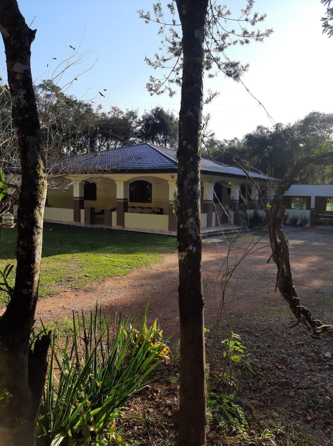 Chácara à venda com 3 quartos, 13000m² - Foto 9