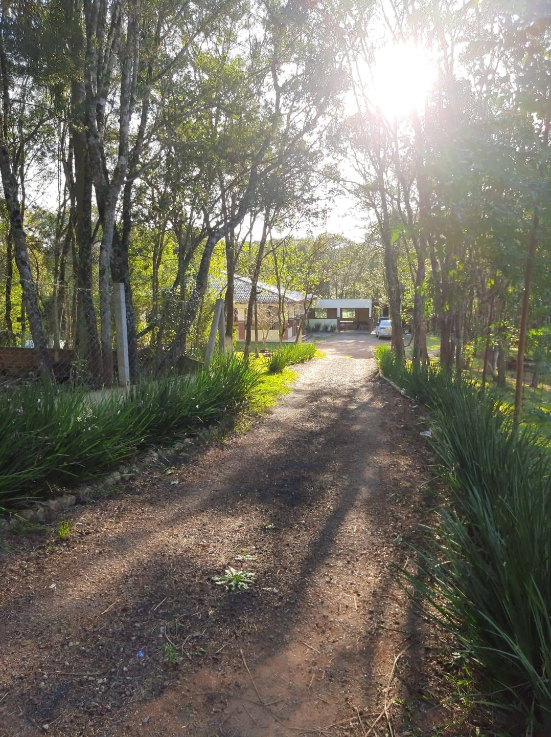 Chácara à venda com 3 quartos, 13000m² - Foto 10