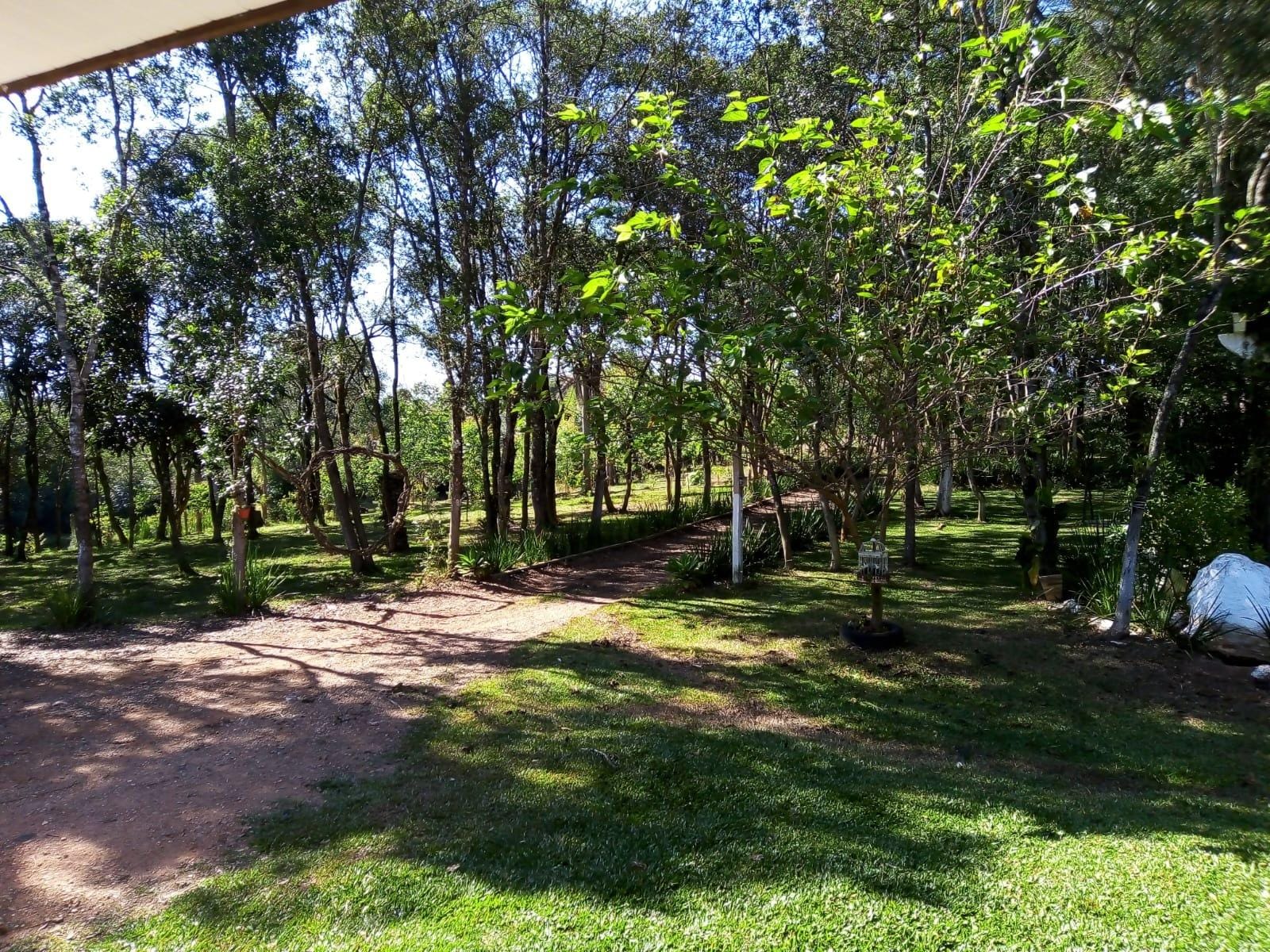 Chácara à venda com 3 quartos, 13000m² - Foto 16