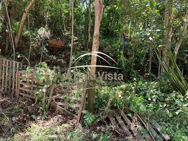 Chácara com 748m², à venda, no bairro Chácara das Garcas em Santana de Parnaíba