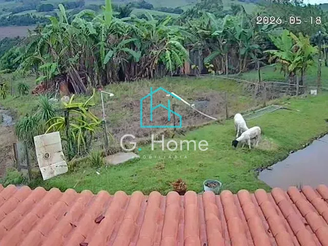 Chácara com 3600m² 1 quarto e 1 banheiro, à venda, no bairro Itaúna em Ibiporã