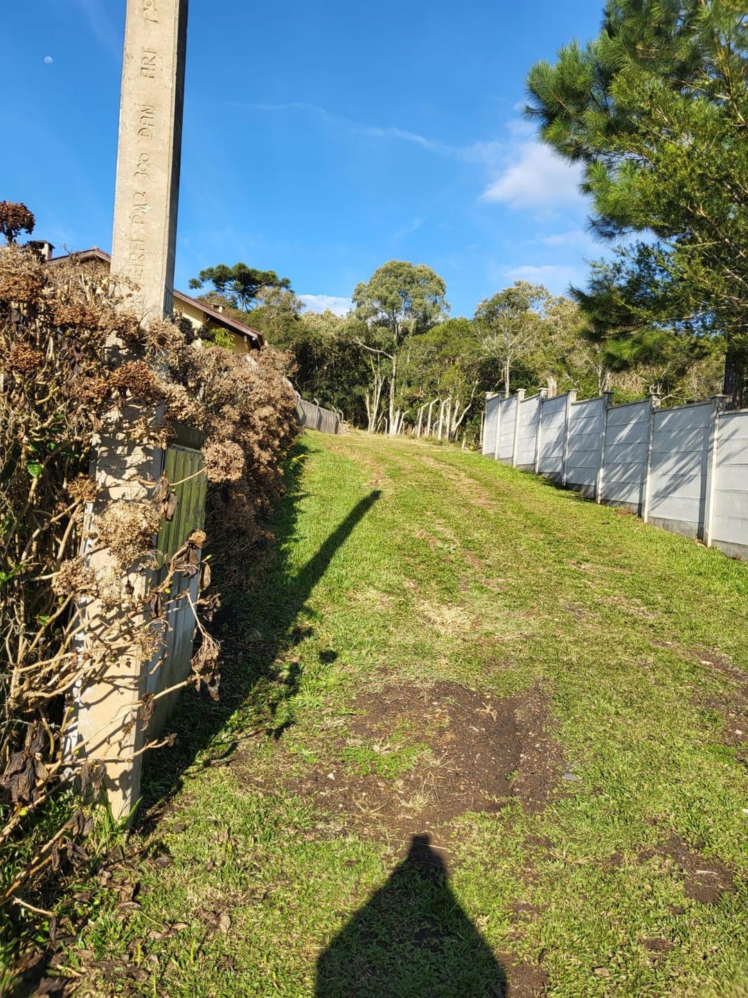 Chácara à venda com 2 quartos, 5000m² - Foto 7