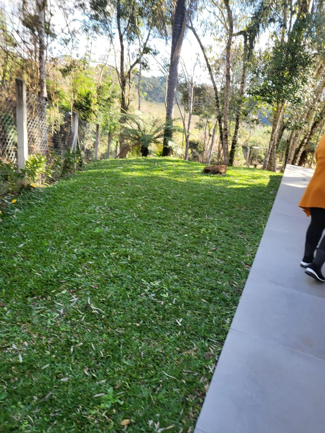 Chácara à venda com 2 quartos, 5000m² - Foto 3