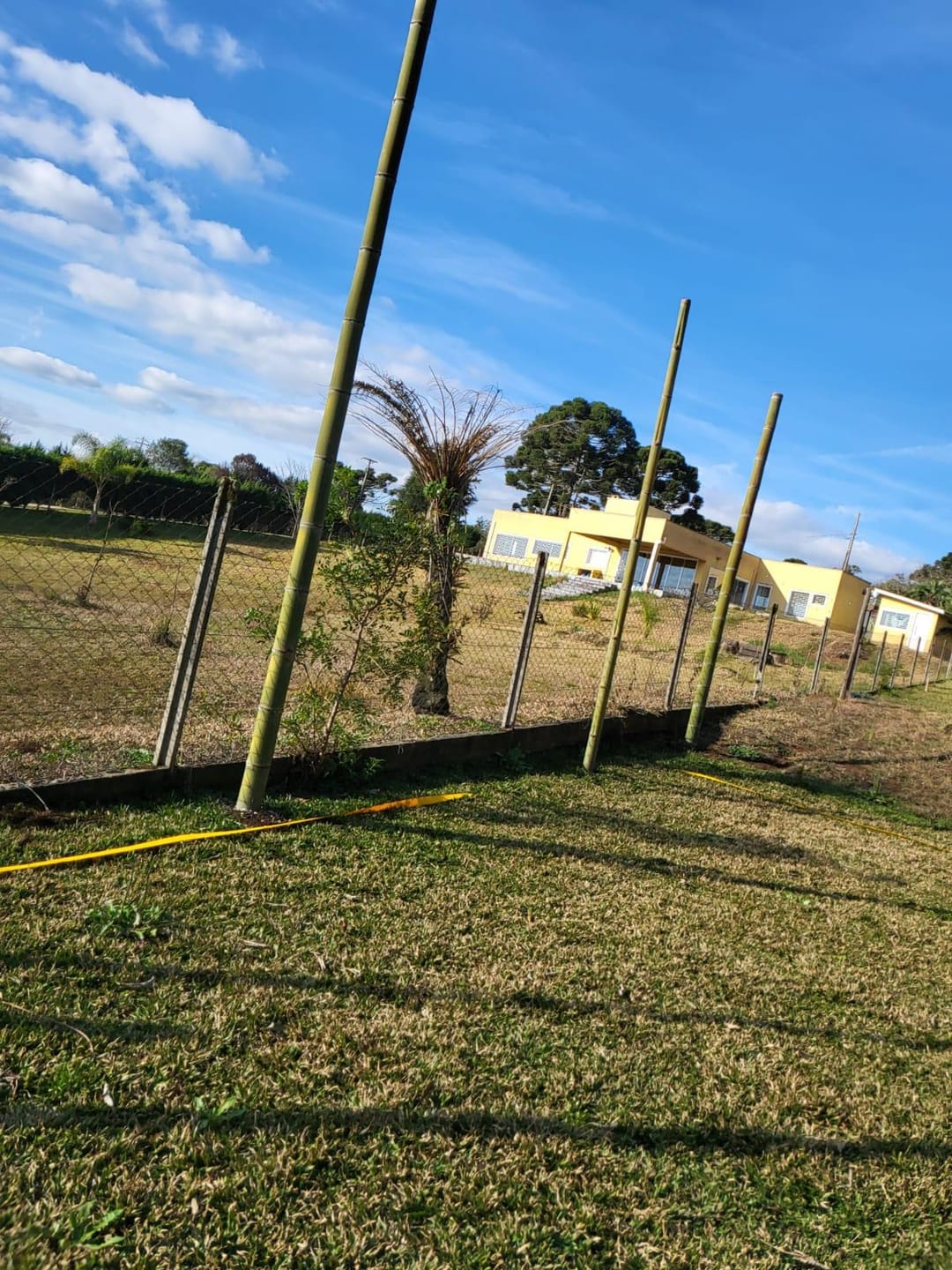 Chácara à venda com 2 quartos, 5000m² - Foto 16