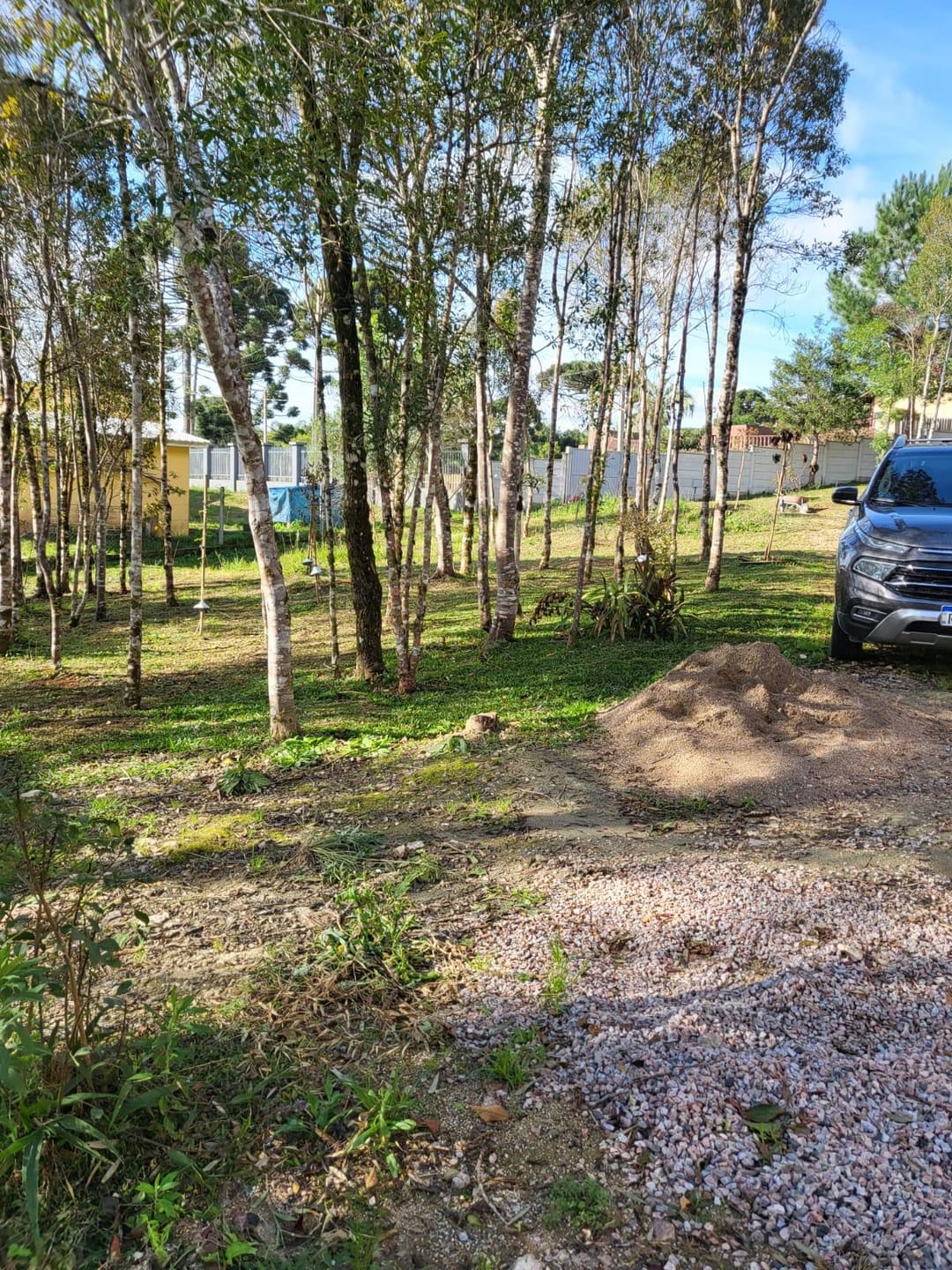 Chácara à venda com 2 quartos, 5000m² - Foto 12