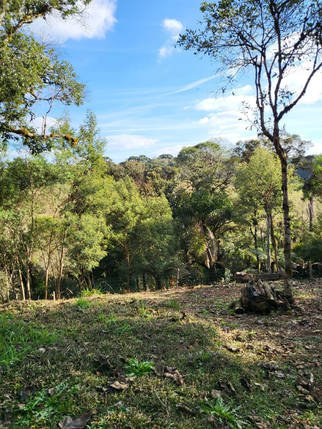 Chácara à venda com 2 quartos, 5000m² - Foto 18