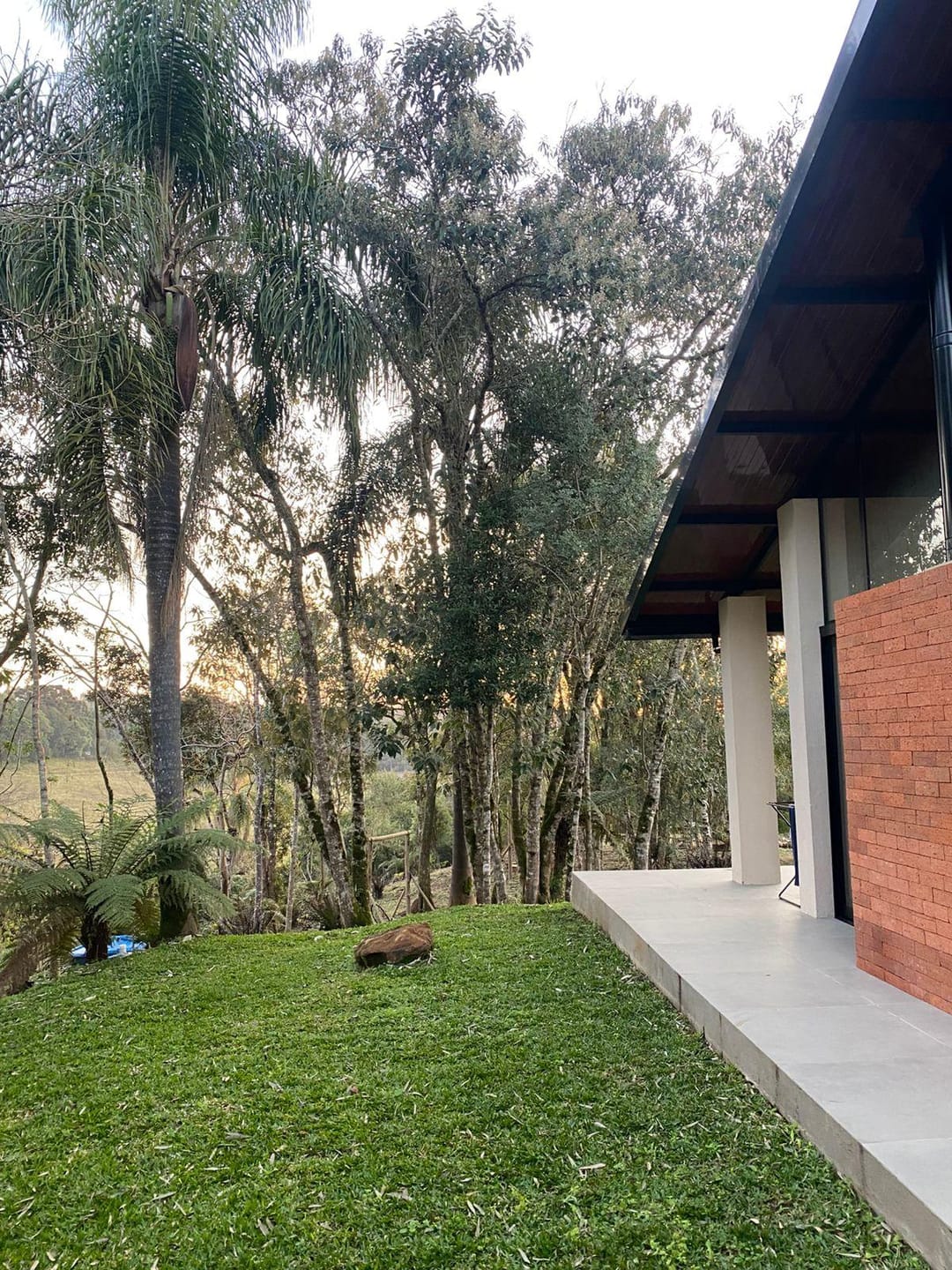 Chácara à venda com 2 quartos, 5000m² - Foto 20