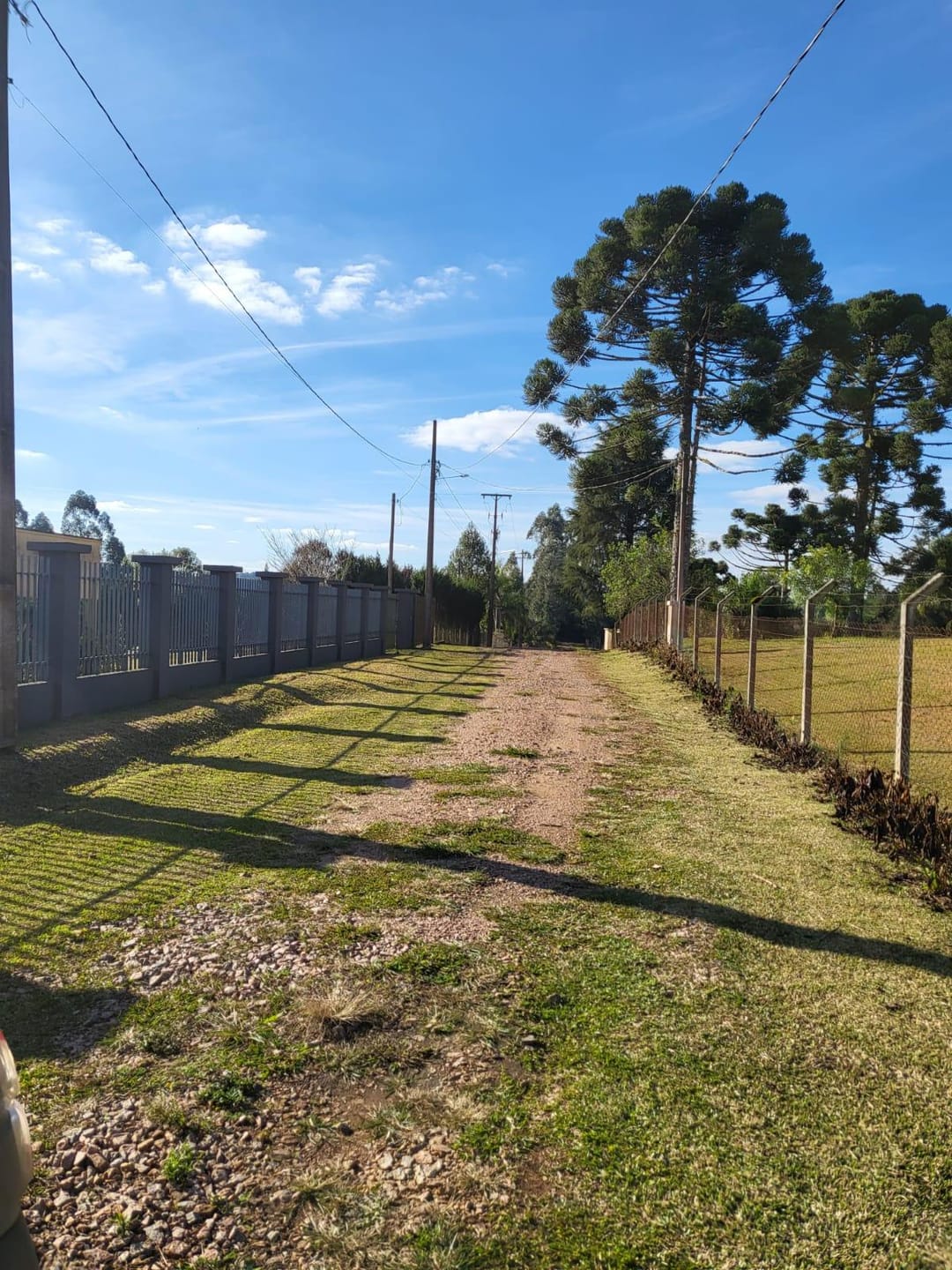 Chácara à venda com 2 quartos, 5000m² - Foto 28