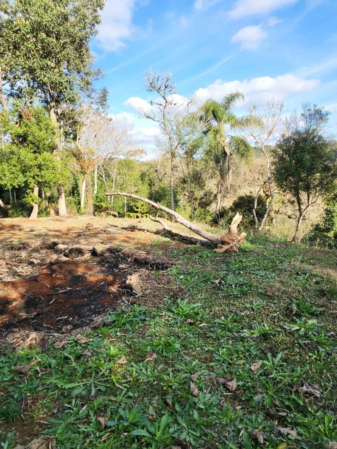 Chácara à venda com 2 quartos, 5000m² - Foto 29