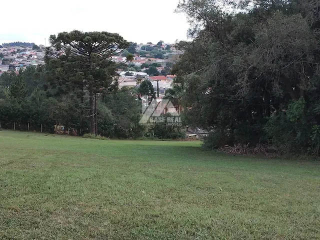 Chácara com 12034m², à venda, no bairro Cará-cará em Ponta Grossa