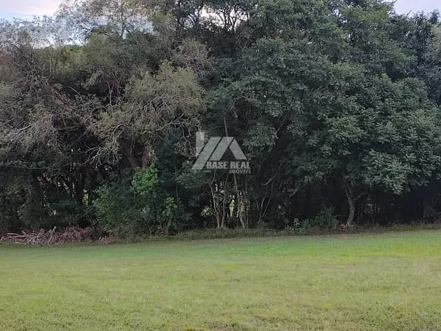 Chácara com 12034m², à venda, no bairro Cará-cará em Ponta Grossa