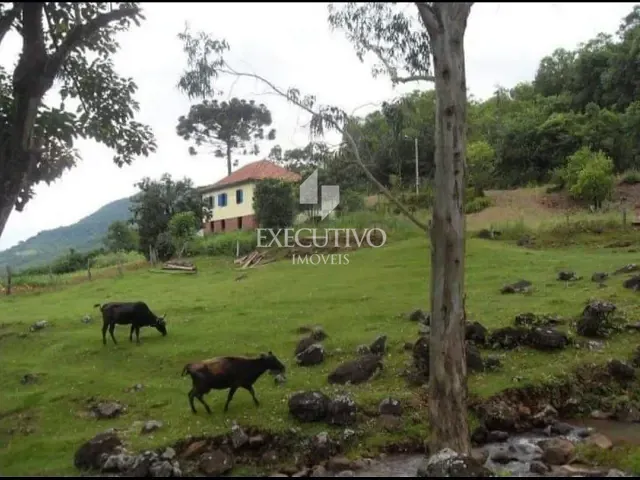Chácara 3 quartos e 1 banheiro, à venda, no bairro Interior em Arroio do Meio