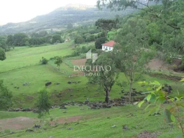 Chácara 3 quartos e 1 banheiro, à venda, no bairro Interior em Arroio do Meio