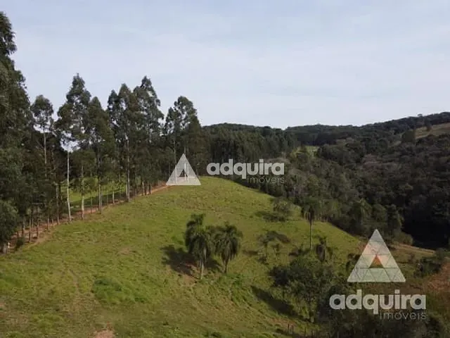 Chácara com 48400m² 2 quartos e 1 banheiro, à venda, no bairro Zona Rural em Ponta Grossa