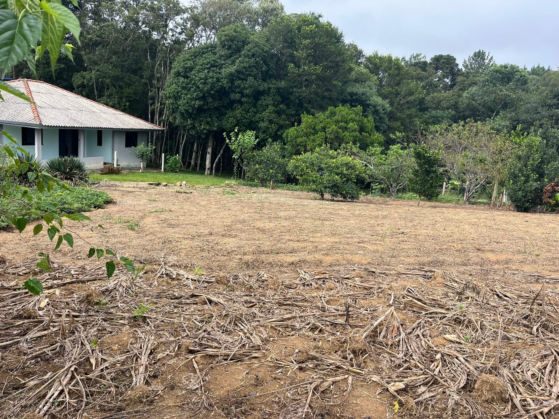 Chácara, 2 quartos, 2500 m² - Foto 24