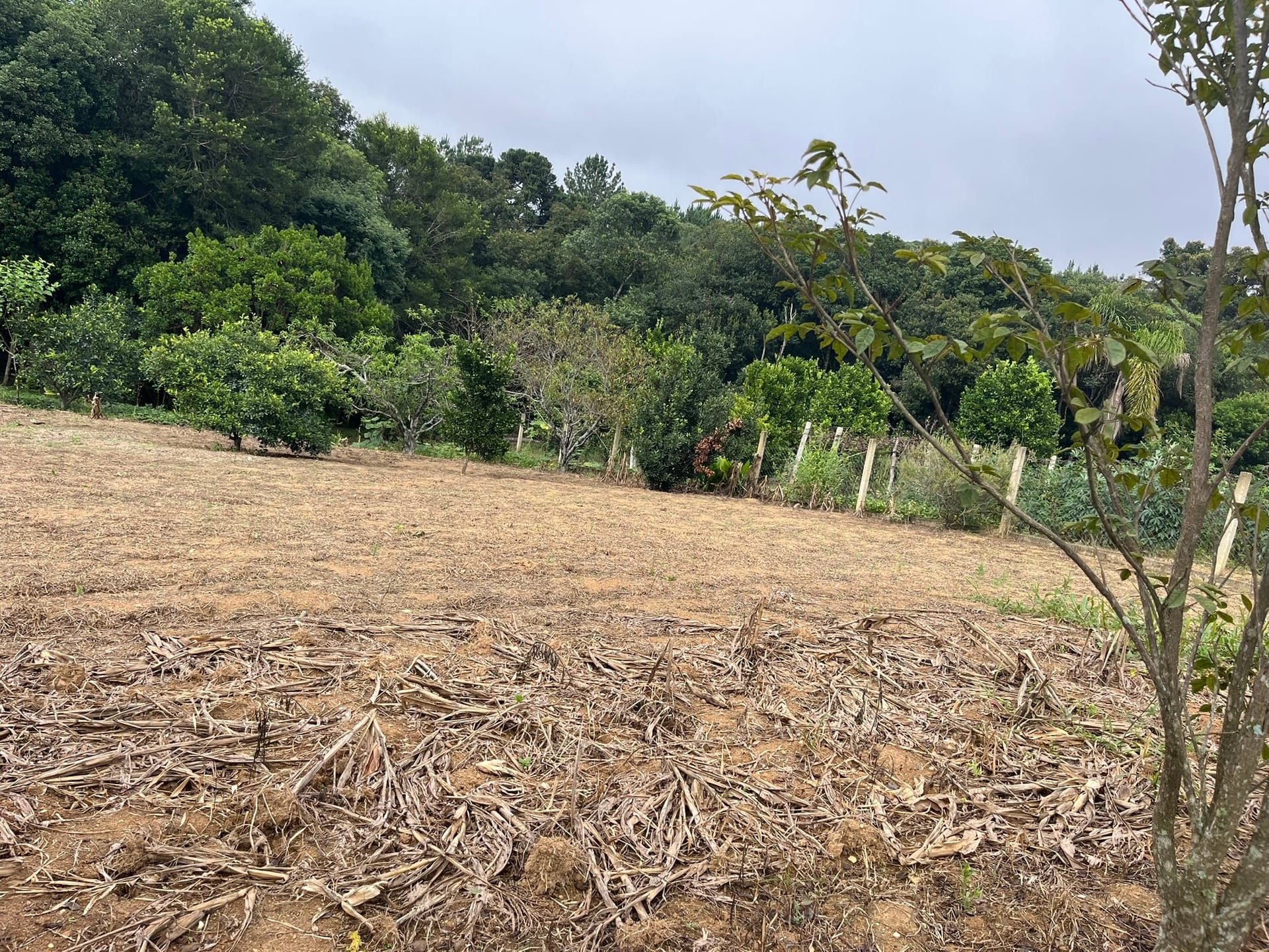 Chácara, 2 quartos, 2500 m² - Foto 25
