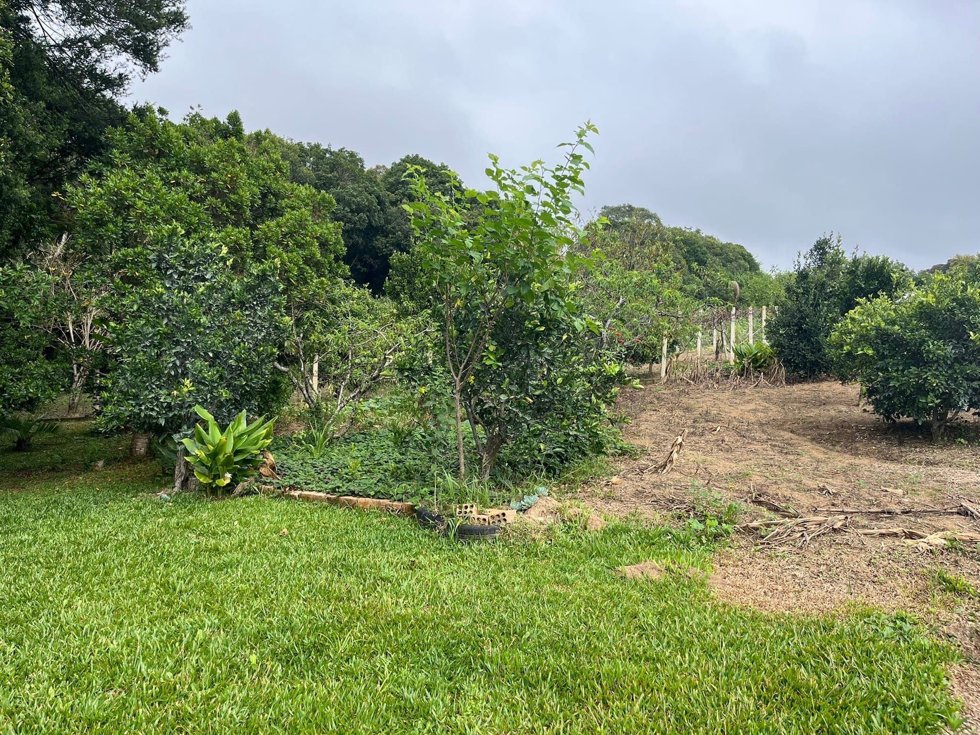 Chácara, 2 quartos, 2500 m² - Foto 29