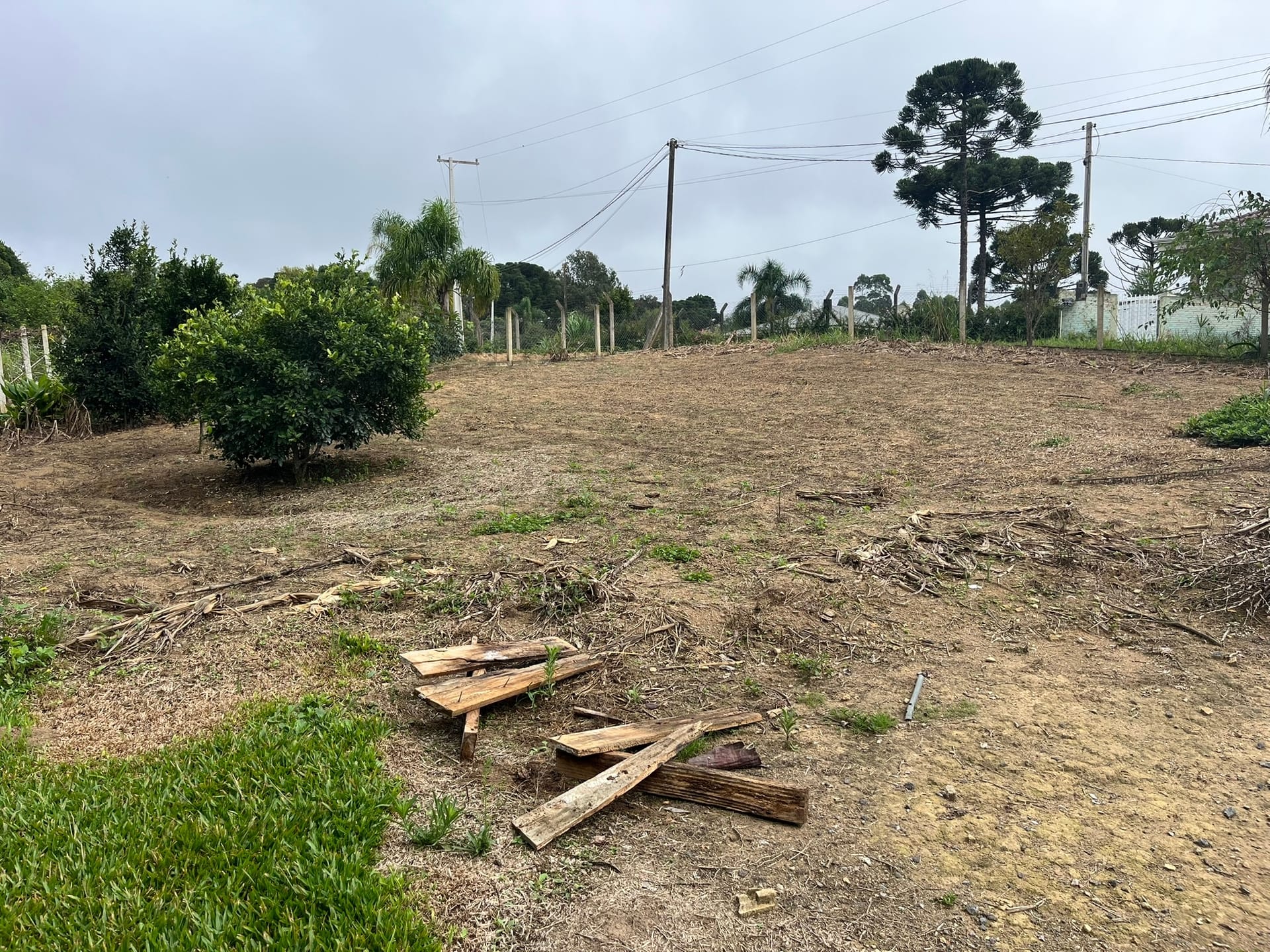Chácara, 2 quartos, 2500 m² - Foto 5