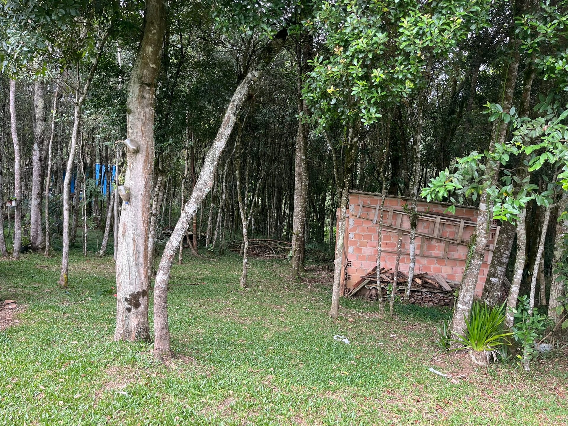 Chácara, 2 quartos, 2500 m² - Foto 32