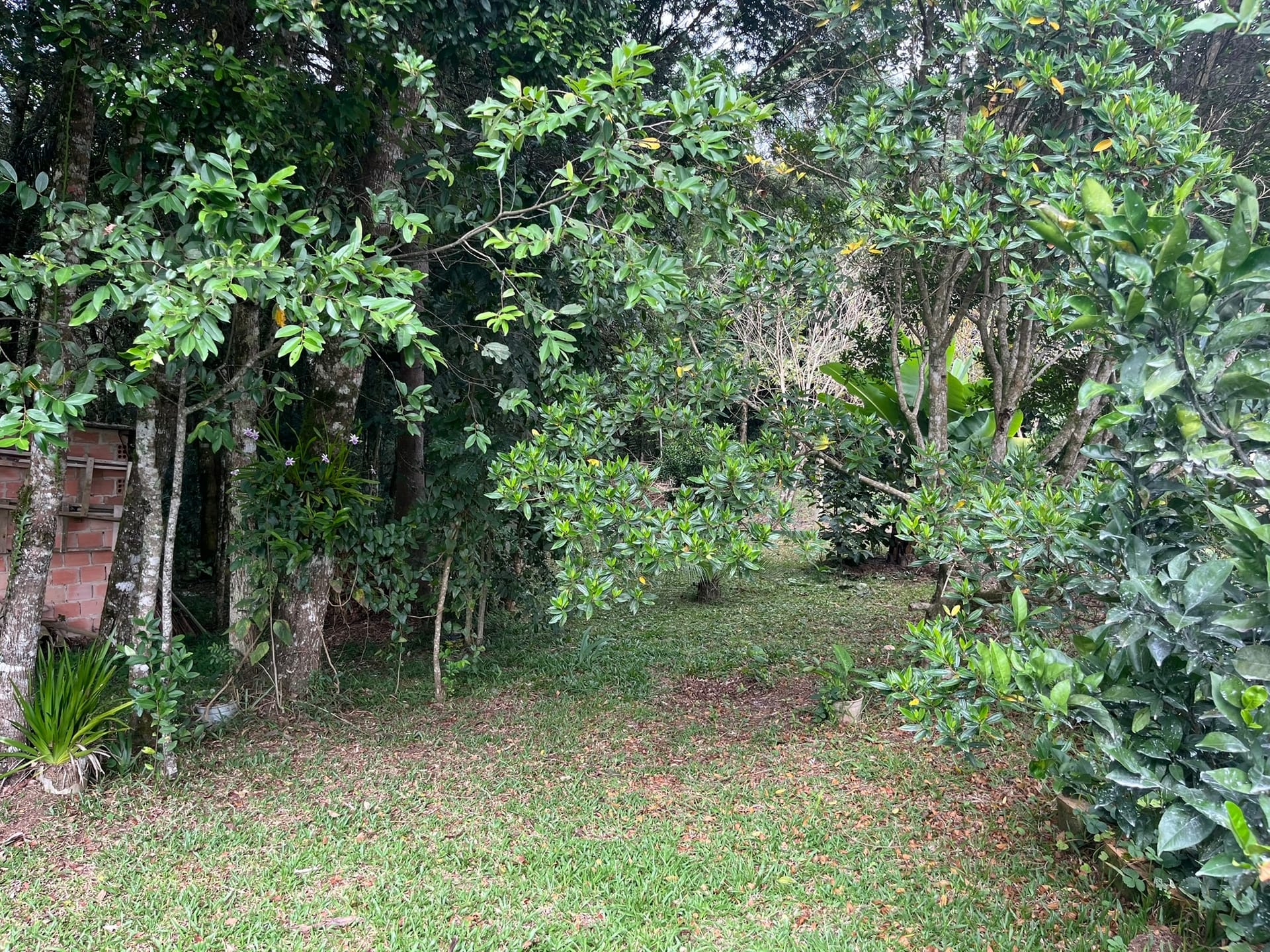 Chácara, 2 quartos, 2500 m² - Foto 33