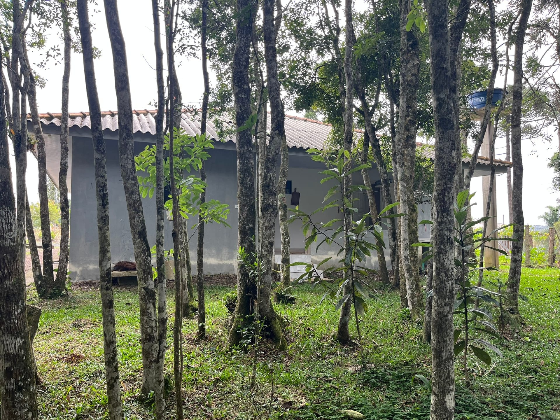 Chácara, 2 quartos, 2500 m² - Foto 35