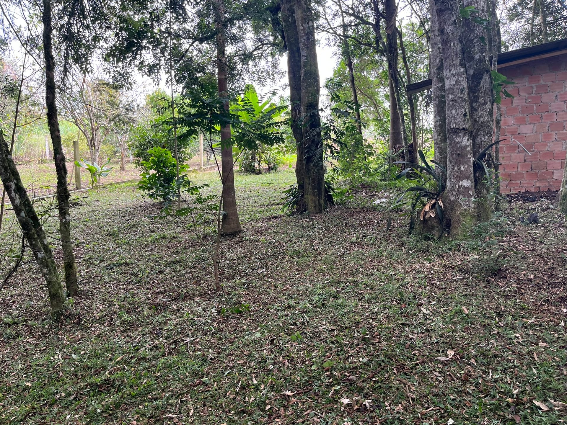 Chácara, 2 quartos, 2500 m² - Foto 36