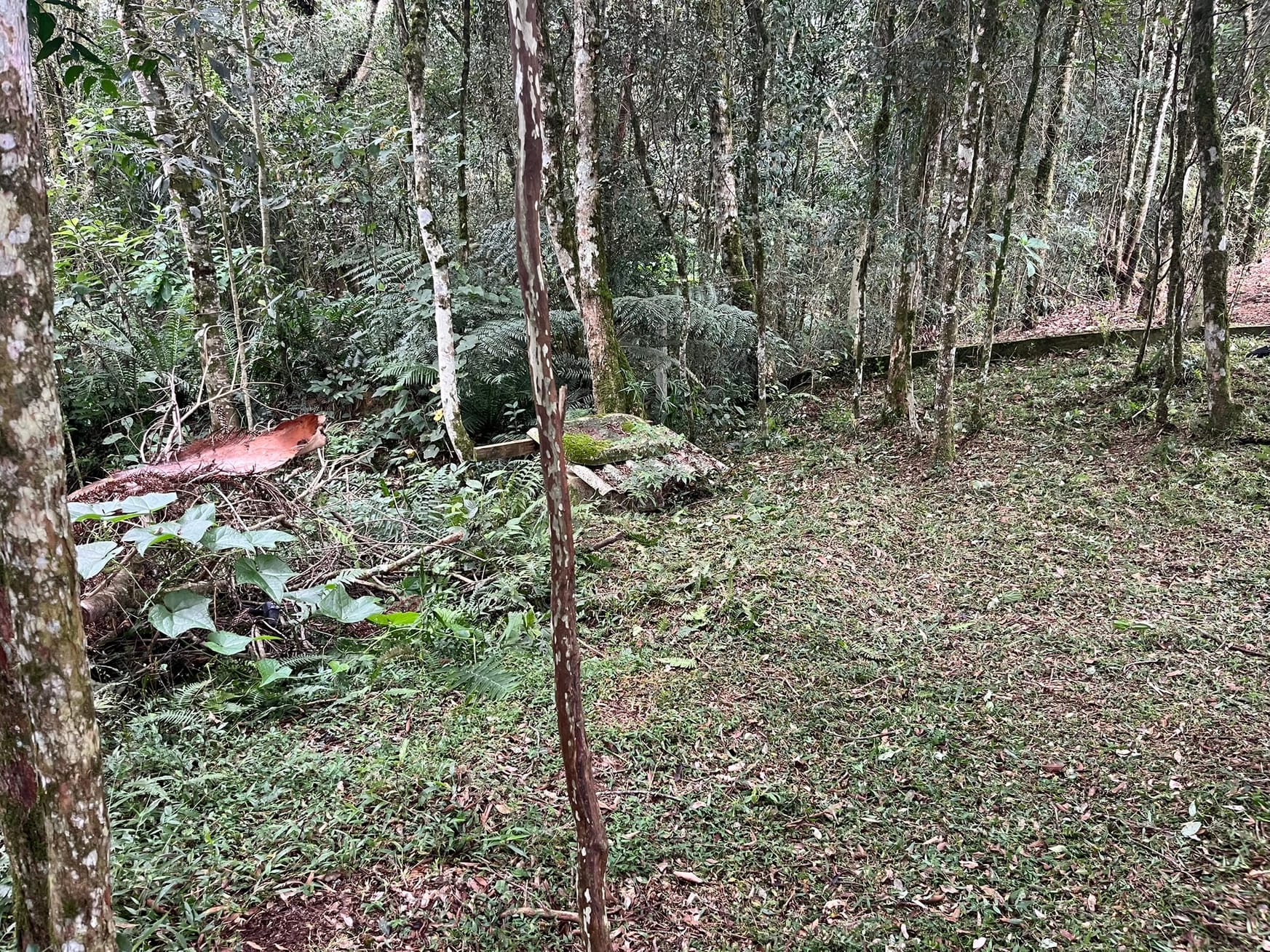Chácara, 2 quartos, 2500 m² - Foto 37