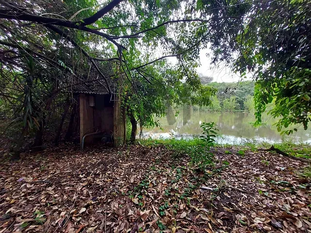 Chácara com 6336m², à venda, no bairro Fazenda Dona Amélia em Holambra