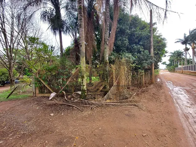 Chácara com 6336m², à venda, no bairro Fazenda Dona Amélia em Holambra