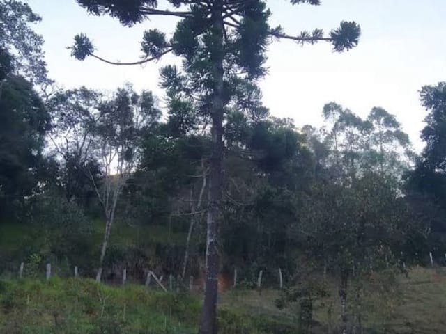 Chácara com 2028m², à venda, no bairro Pessegueiro  em Cambuí