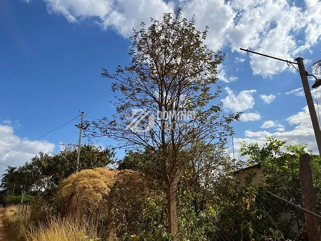 Chácara com 5500m² 3 quartos e 2 banheiros, à venda, no bairro Zona Rural em Uberaba