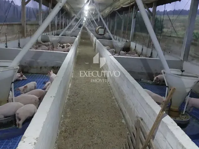 Chácara com 80000m² 3 quartos e 2 banheiros, à venda, no bairro Interior em Estrela