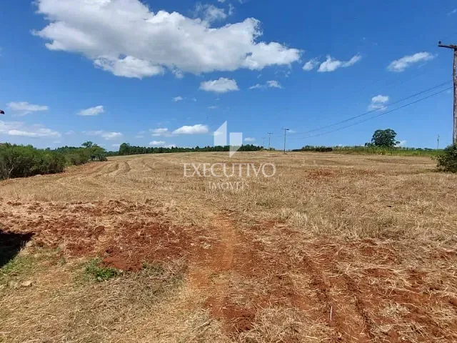 Chácara com 80000m² 3 quartos e 2 banheiros, à venda, no bairro Interior em Estrela