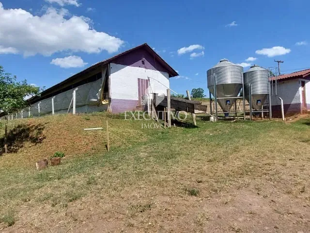 Chácara com 80000m² 3 quartos e 2 banheiros, à venda, no bairro Interior em Estrela