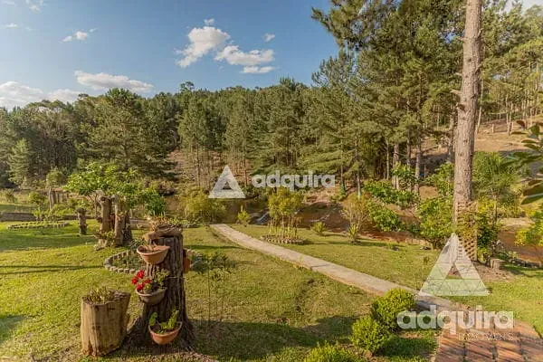 Chácara, 3 quartos, 2 hectares - Foto 7
