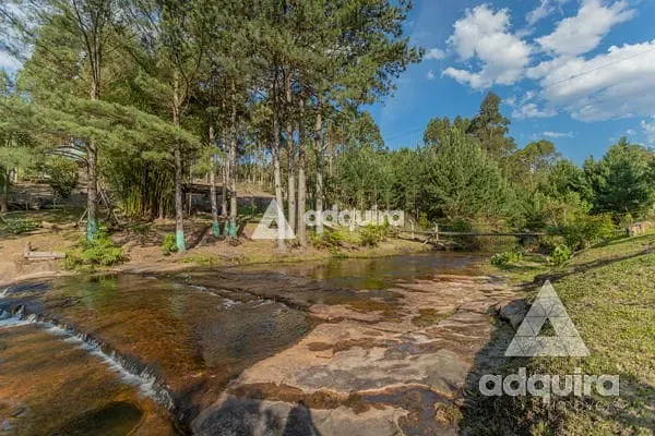 Chácara, 3 quartos, 2 hectares - Foto 10