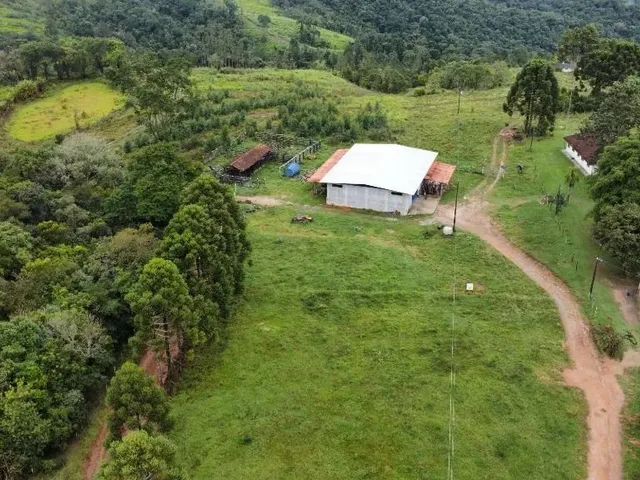 Chácara 3 quartos e 2 banheiros, à venda, no bairro Campo Largo em Campo Largo