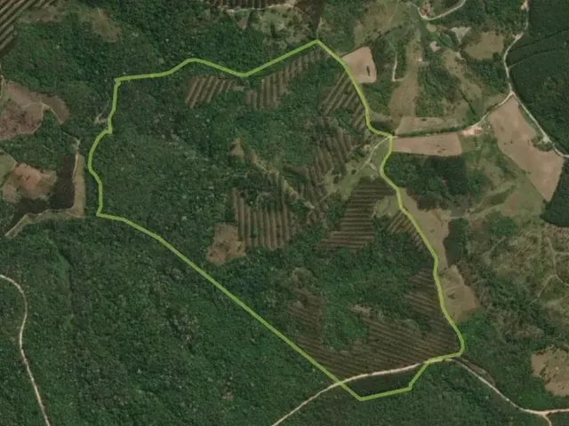 Chácara 3 quartos e 2 banheiros, à venda, no bairro Campo Largo em Campo Largo