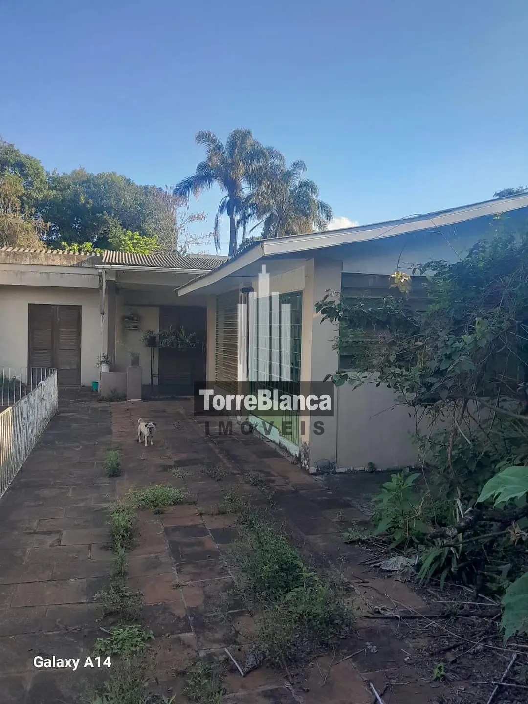 Chácara, 5 quartos, 4000 m² - Foto 31