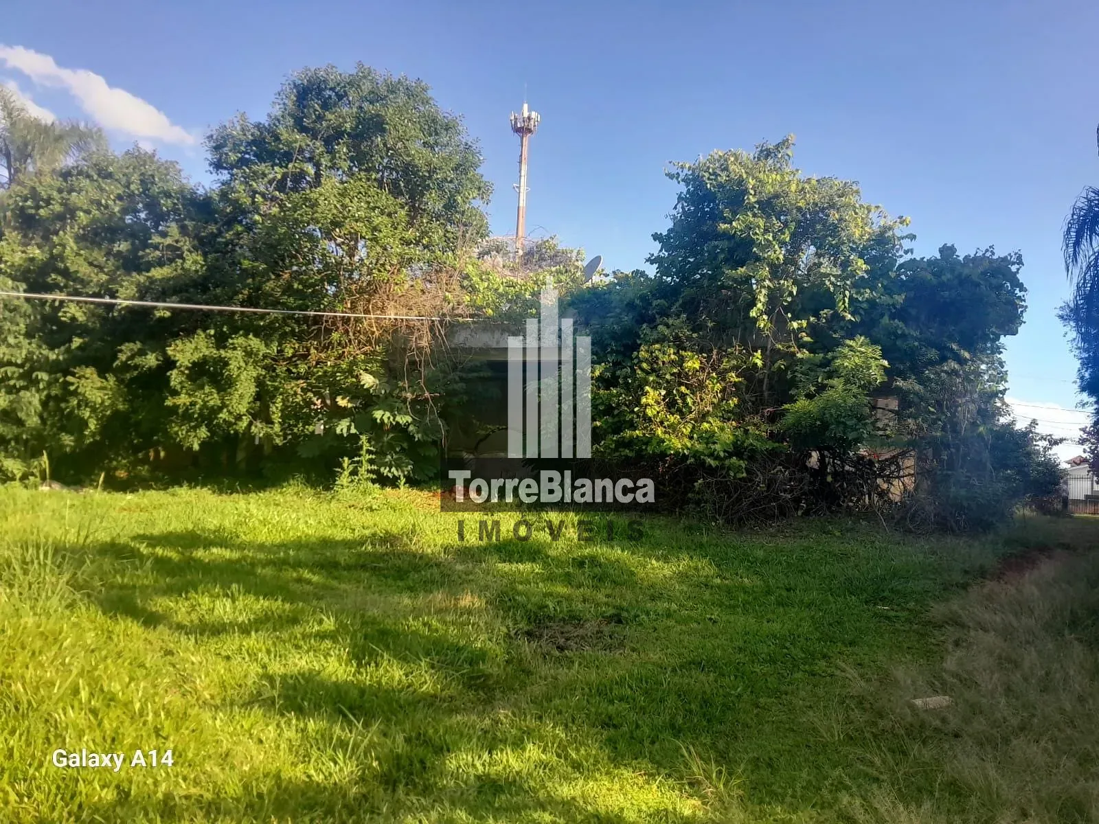 Chácara, 5 quartos, 4000 m² - Foto 37
