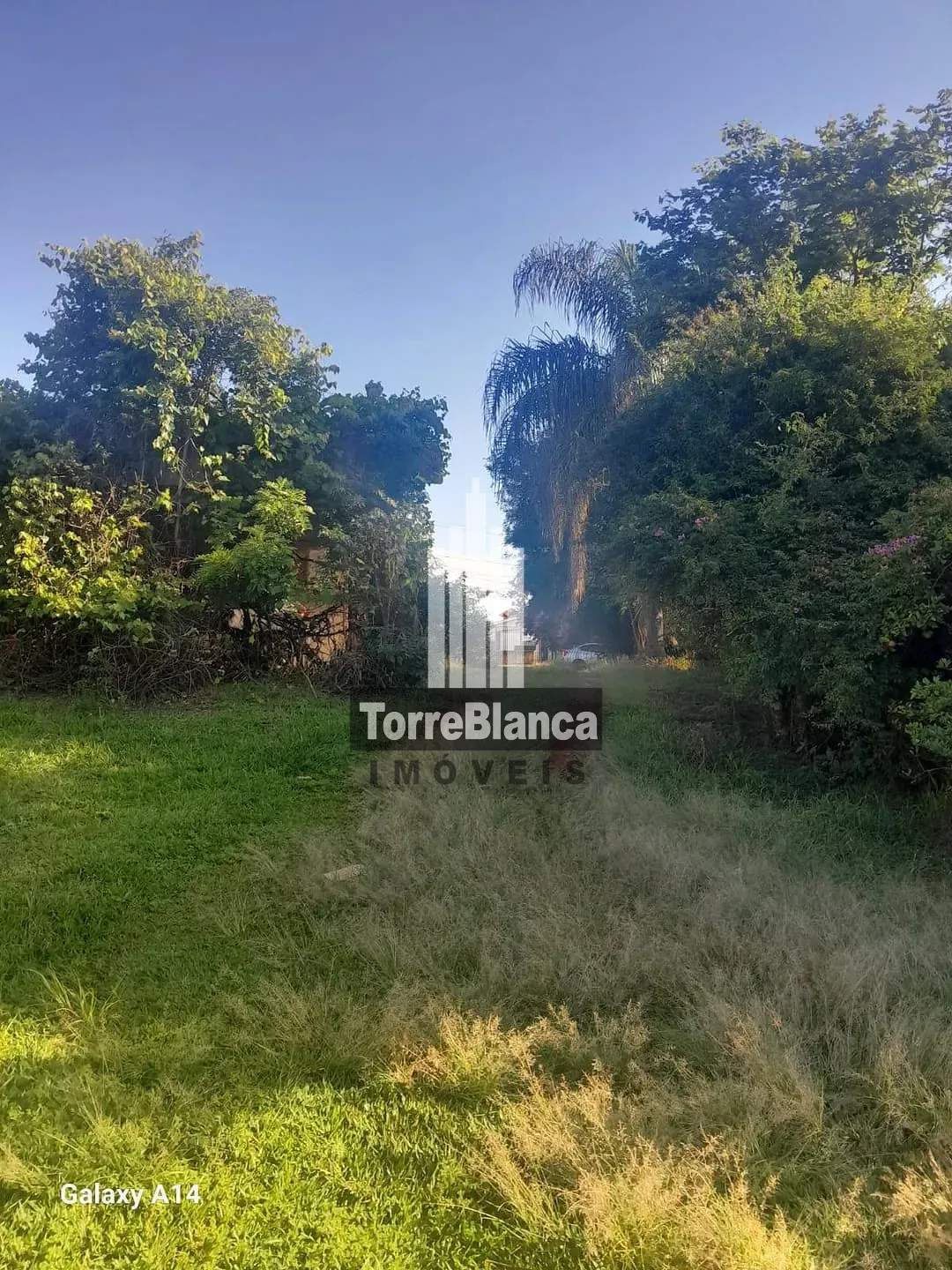 Chácara, 5 quartos, 4000 m² - Foto 38