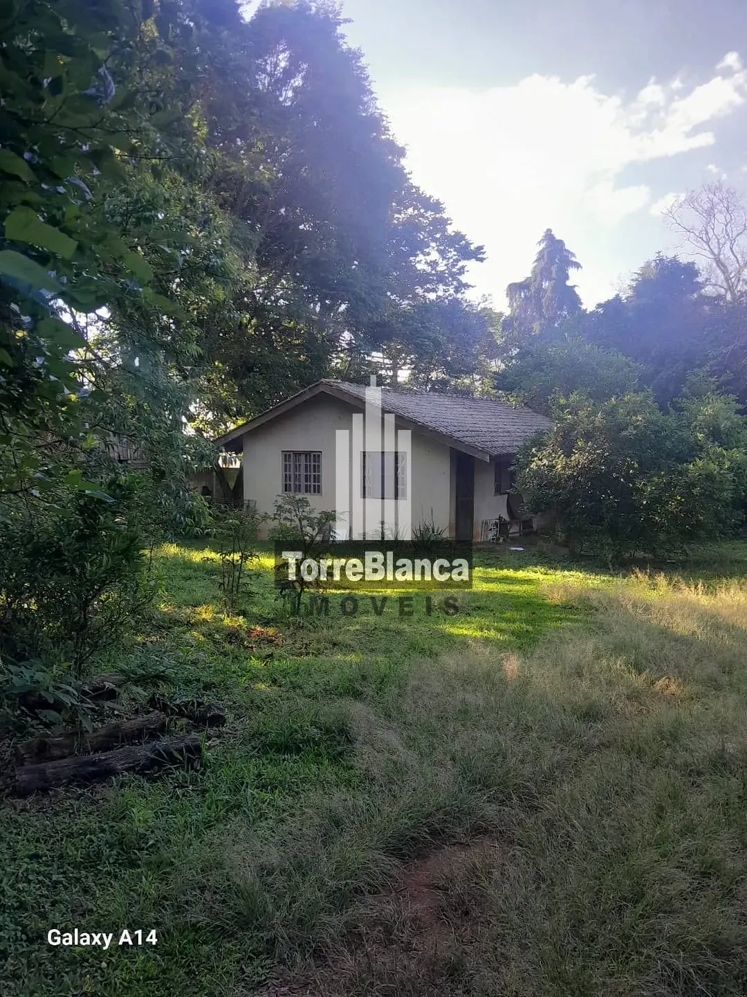 Chácara, 5 quartos, 4000 m² - Foto 41
