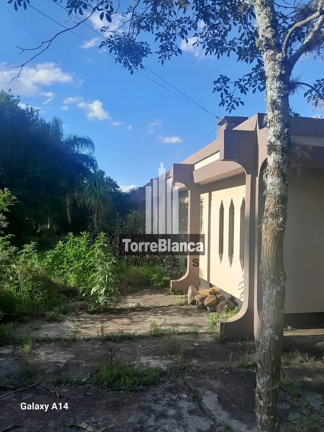 Chácara, 5 quartos, 4000 m² - Foto 45