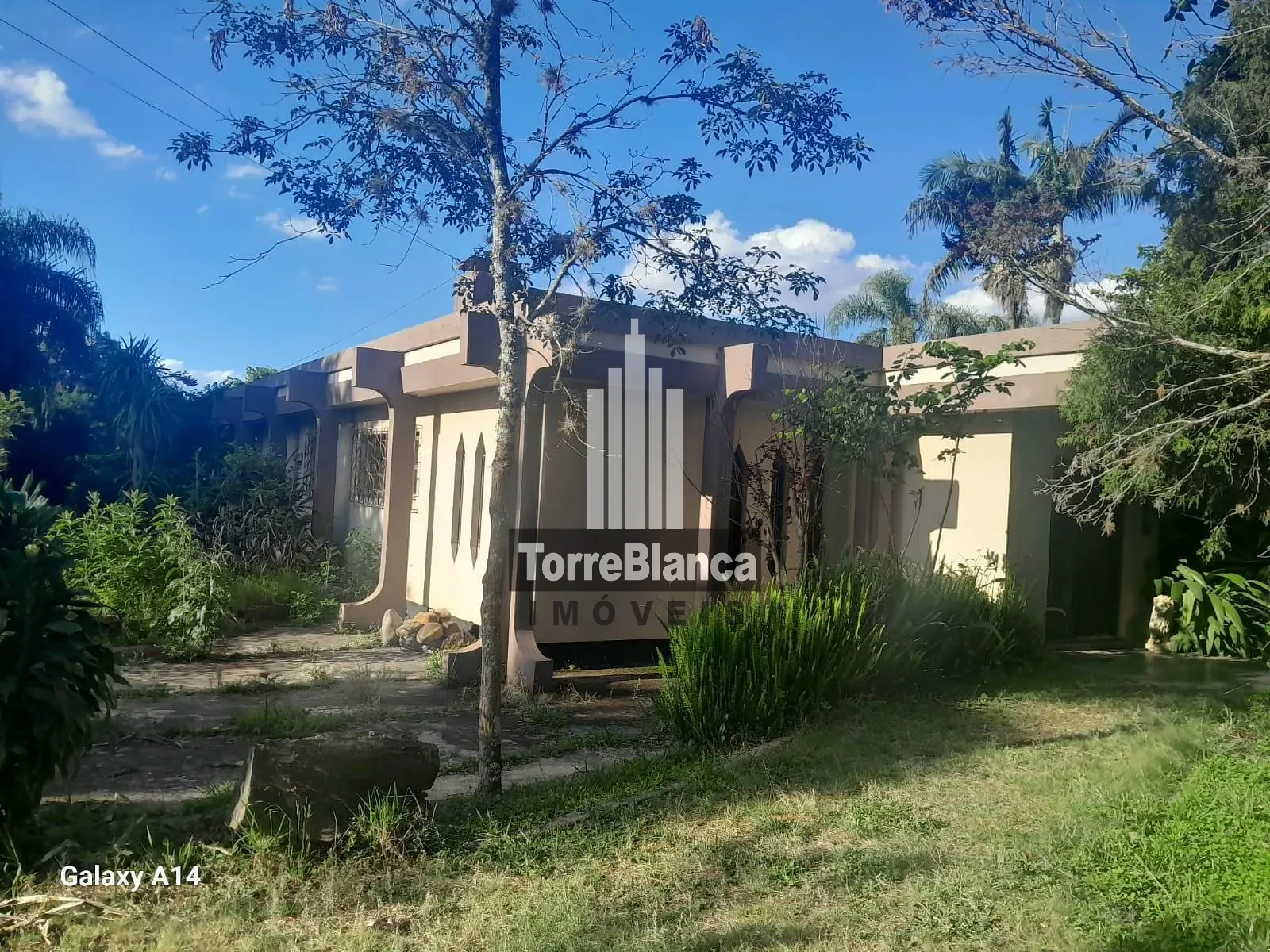 Chácara, 5 quartos, 4000 m² - Foto 46