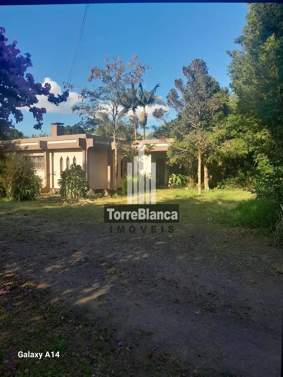 Chácara, 5 quartos, 4000 m² - Foto 49