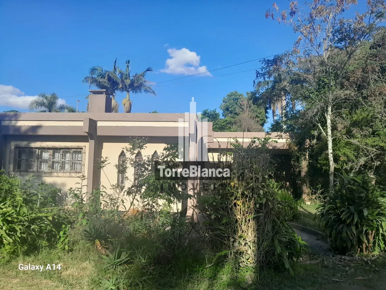 Chácara, 5 quartos, 4000 m² - Foto 50